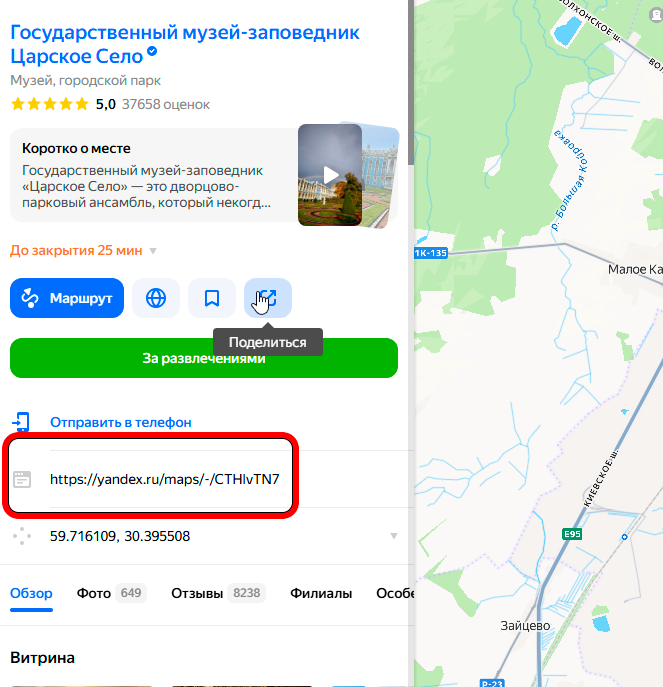 Отзывы с Яндекс.Карт и 2ГИС на сайт 3