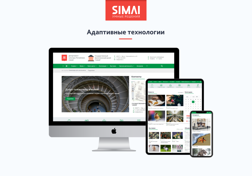 SIMAI-SF4: Сайт учреждения культуры - музея, адаптивный с версией для слабовидящих 2