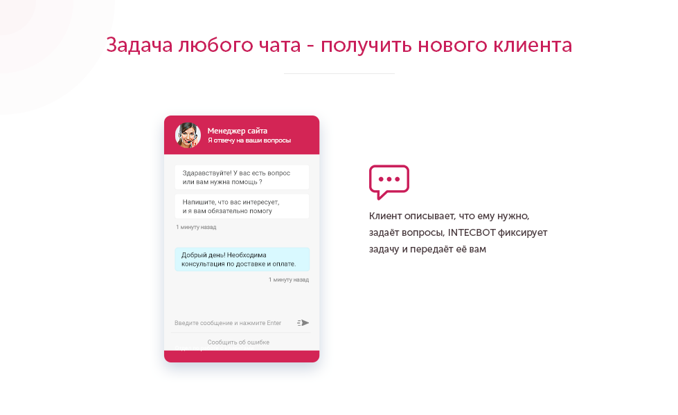 INTECBOT - Чат бот для сайта. Ловец лидов. Роботизированный онлайн-консультант. 5