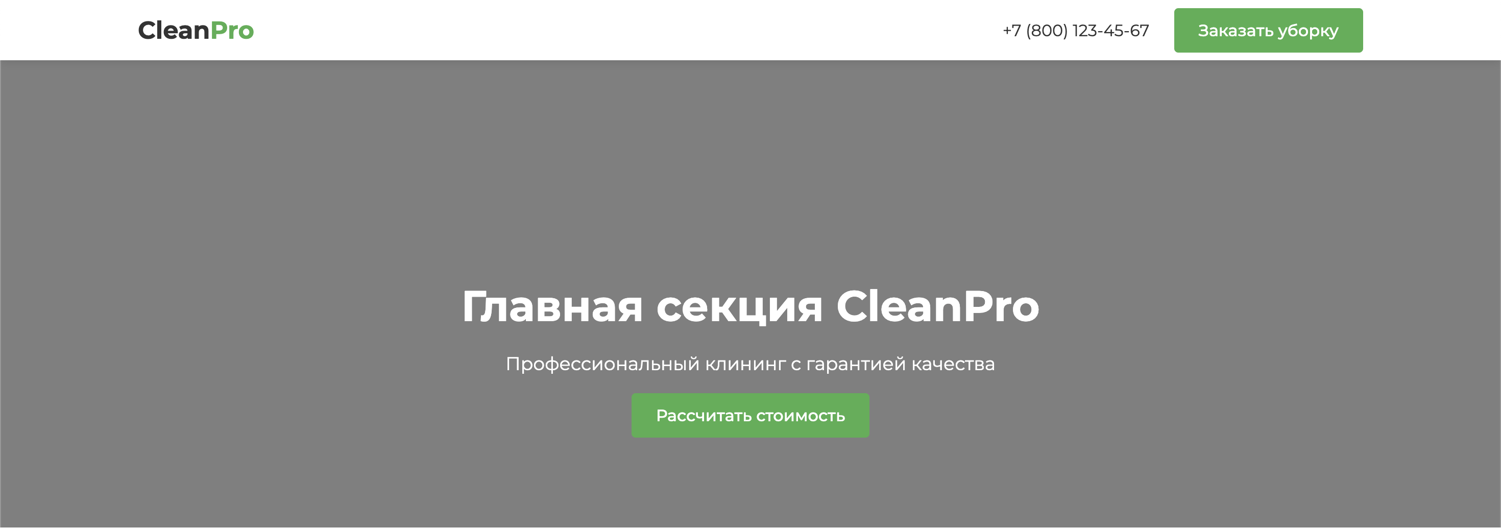 CleanPro 