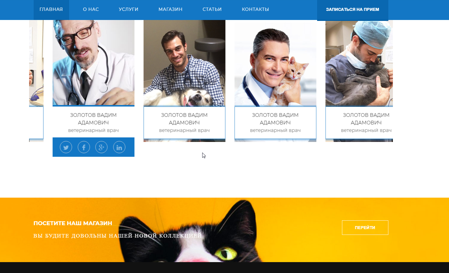 Корпоративный сайт ветеринарного центра. Товары для животных, ветеринарные услуги 4