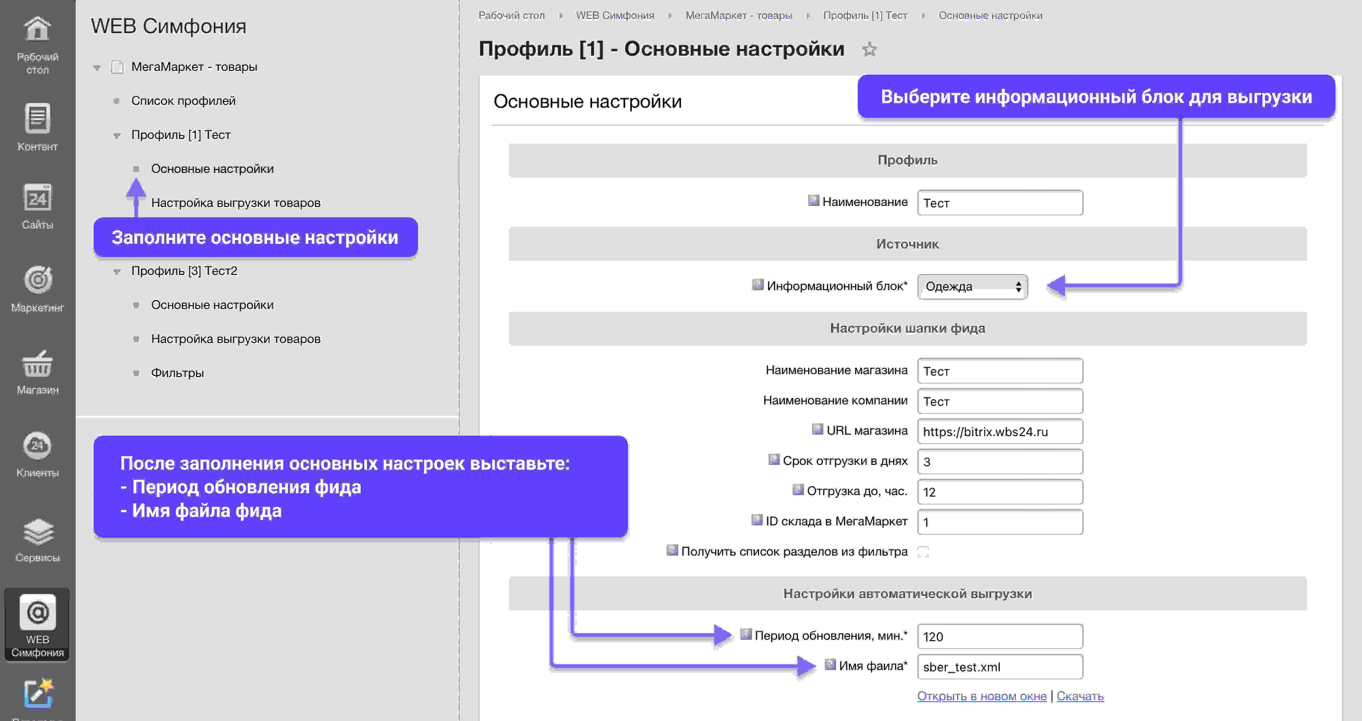 WBS24: Интеграция с МегаМаркет - фид обновления товара и цен, остатки по API 2.0 2