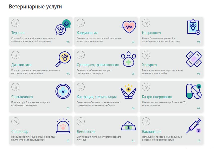 ZEBRA.VET – Ветеринарная клиника 3