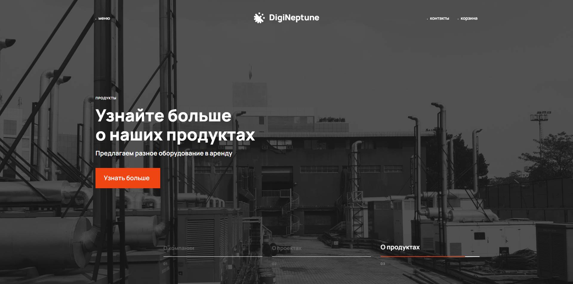 Имиджевый промо-сайт DIGINEPTUNE 