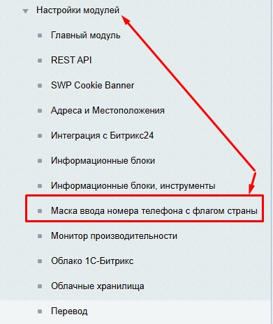 Маска ввода номера телефона с флагом страны 3
