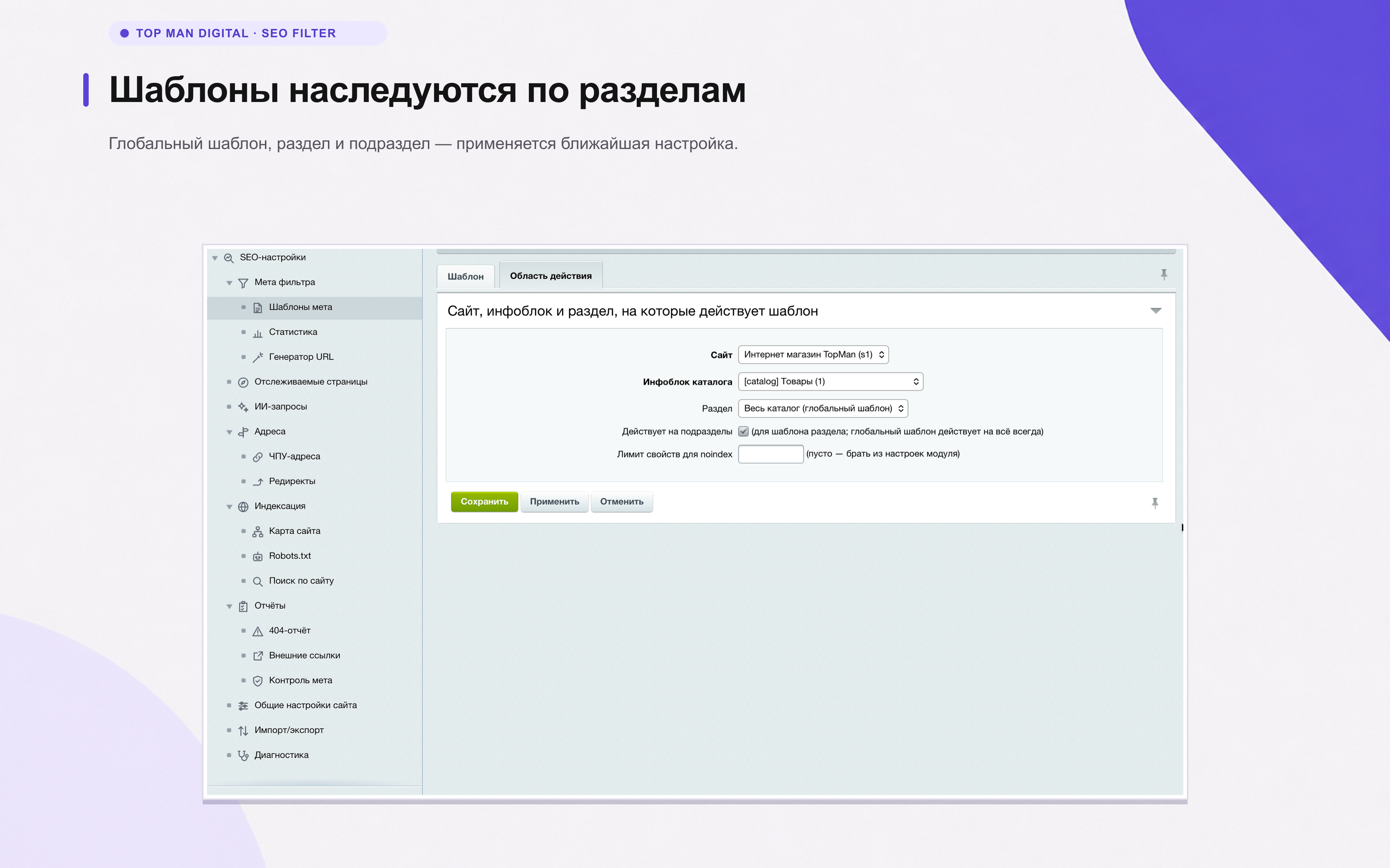 Top Man Digital: SEO помощник 11