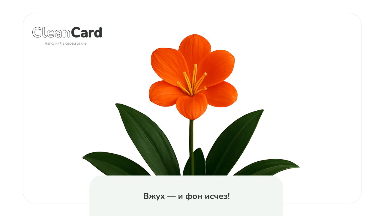 CleanCard — массовое автоудаление фона с изображений 4