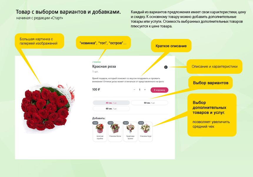 Магазин цветов и подарков, начиная со Старта. Flora Shop 2