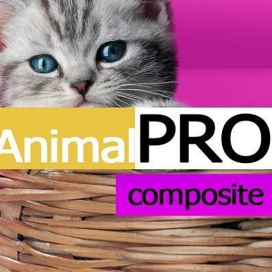 Товары для животных. Корма.(AnimalPRO). Профессиональный интернет магазин (рус. + англ.)