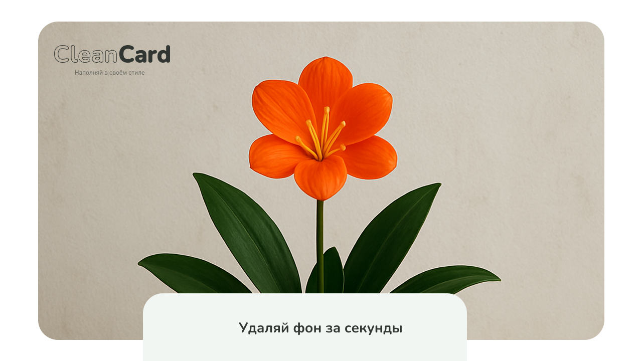CleanCard — массовое автоудаление фона с изображений 3