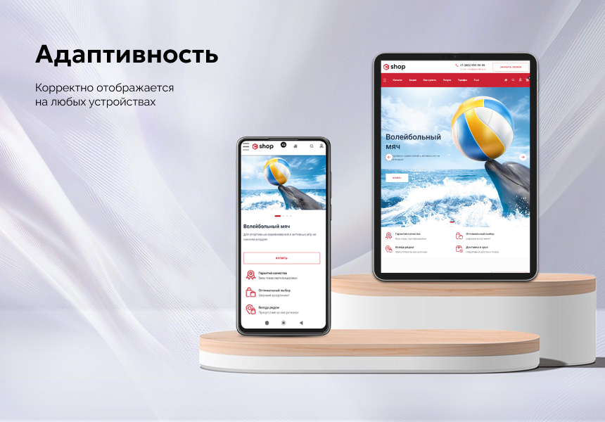 EPIR: Интернет-магазин 11