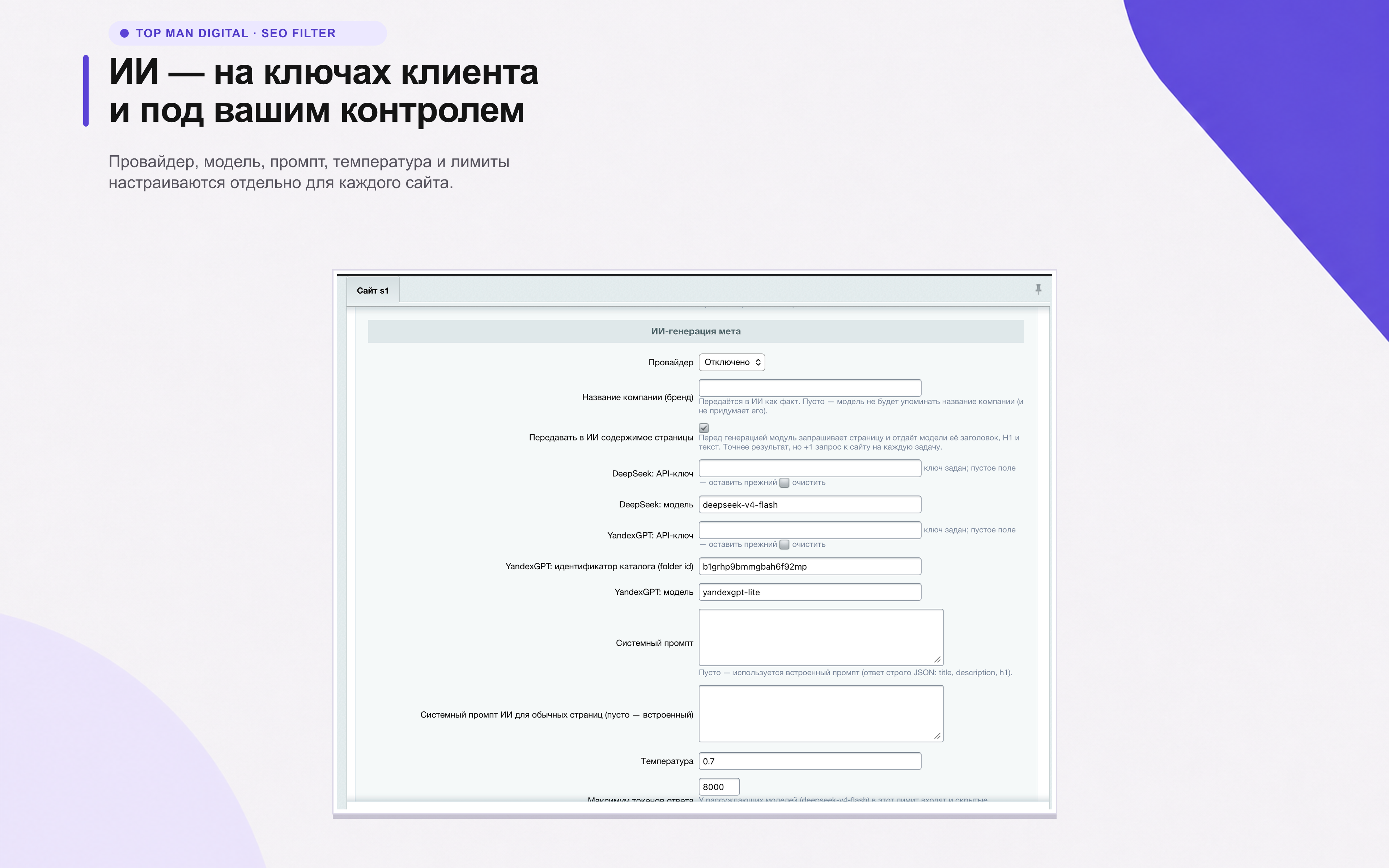 Top Man Digital: SEO помощник 18