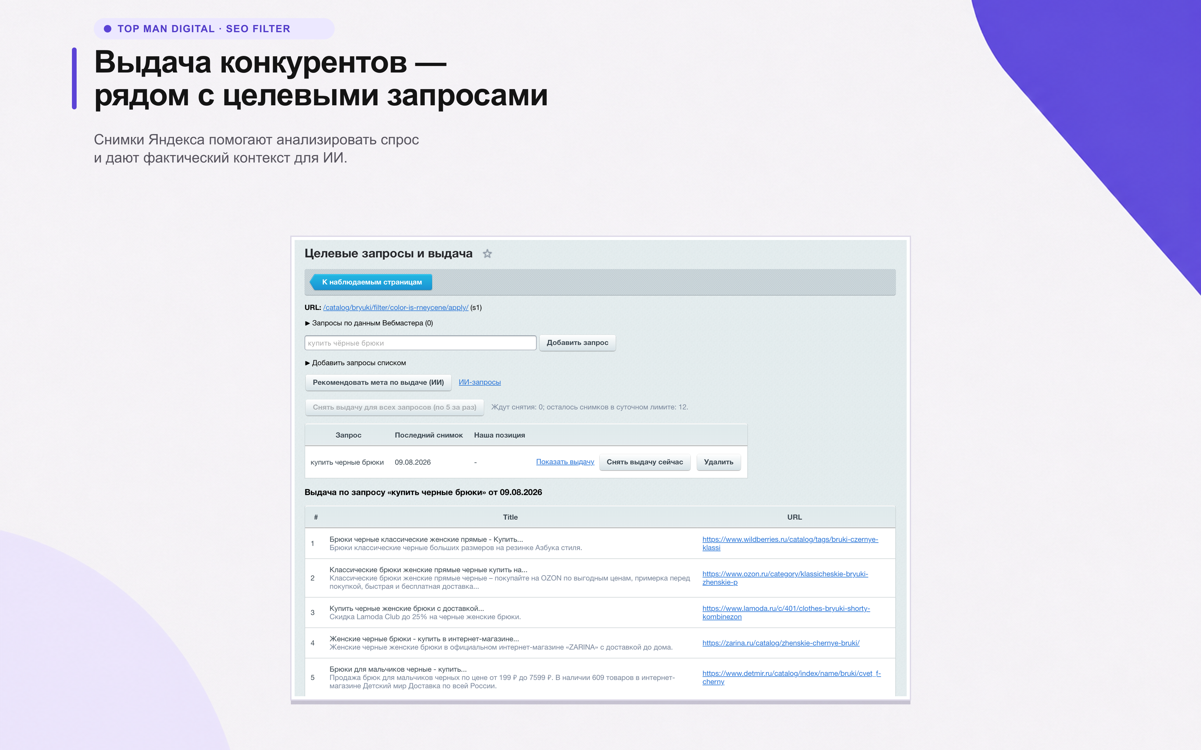 Top Man Digital: SEO помощник 14