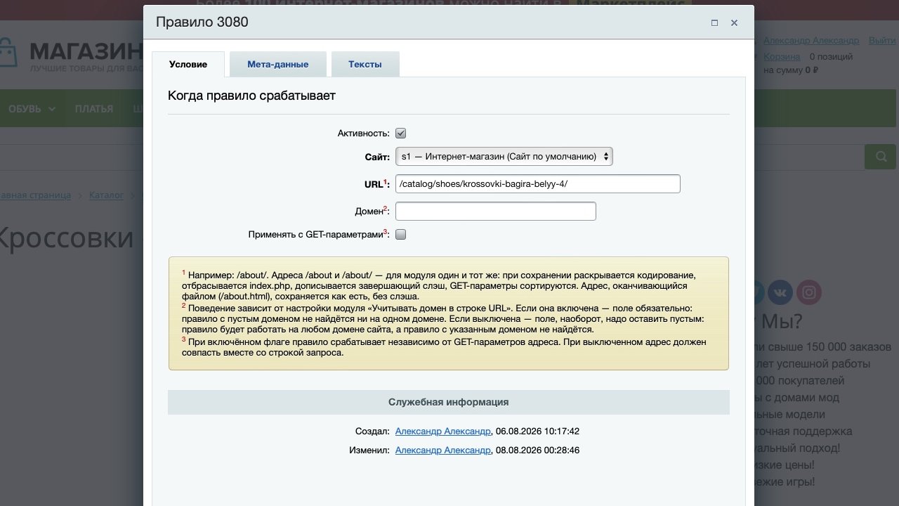 «SEO-мета» — мета-теги, H1, канонический адрес и SEO-тексты для страниц сайта 7